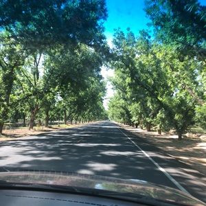 Meet your Posher, Rocio